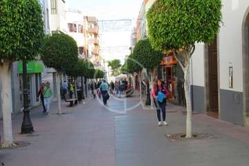 Rueda de prensa para presentar los actos de la víspera de Reyes en Telde  (Foto TA)